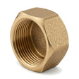 Bouchon femelle à tête hexagonale en laiton CW617N BSP - vue isométrique